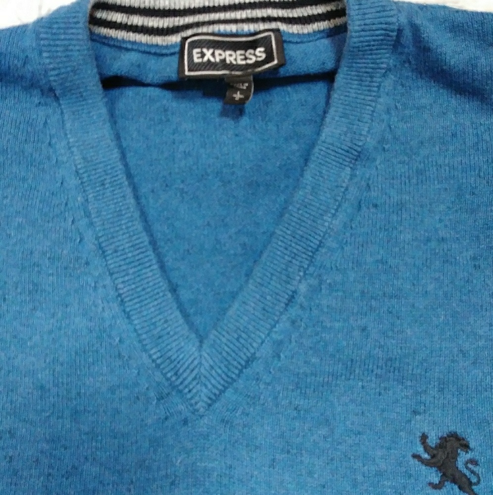 Express men's sweater